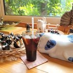 パンと珈琲の店　ねこのて - 猫いっぱい