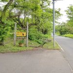 パンと珈琲の店　ねこのて - 