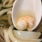 Teuchi Udon Kokoro - 