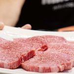 サトブリDA - ヒレ