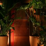 世界一周 旅ダイニング居酒屋PUSHUP  - 