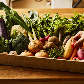 厳選した食材の季節のコース登場！ランチ、スタジオーネコース♪
