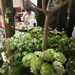 恵比寿 箸庵 - 紫陽花の季節になりました