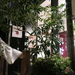 恵比寿 箸庵 - 夜のテラスを満喫〜♬