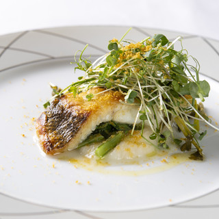 リストランテ アクアパッツァ_1