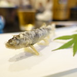 松翁 - なに見てんだコラ、(-_-メ)