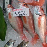 新潟本町 鈴木鮮魚 - のどぐろは見た目も美しい。