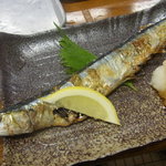 新潟本町 鈴木鮮魚 - 新さんま。ワタの香りが最高。