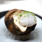 TACUBO - サザエの香草バター焼き