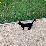 Karunakarala Ayurveda Spa And Resort - 