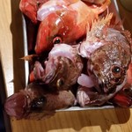 居酒屋けんちゃん - 