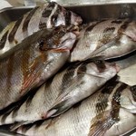 居酒屋けんちゃん - 