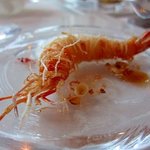 サーラ アマービレ - アジアの香りの車海老のフライ
