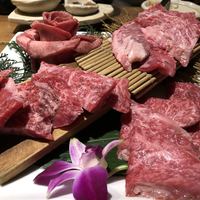 大衆肉酒場 こだわり米 匠 - タン　カイノミ　インサイド　カメノコ