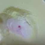 パオム - ミルキー生チーズケーキ(中にブルーベリーソースが入ってます)