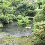 仙郷樓 奥の樹々 - 