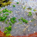 しらす本家 どろめ - 