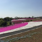 Taupe - ここを２周ほど（笑）