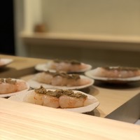 鮨 なんば 日比谷 - （2018年5月）増毛のボタン海老(^.^)