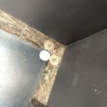 オルト - 盛り塩