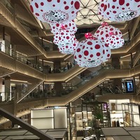 イル カルディナーレ 銀座本店 - 