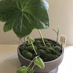 オルト - インテリアもオシャレ