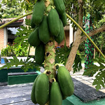 Karunakarala Ayurveda Spa And Resort - 