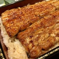 五代目 野田岩 麻布飯倉本店 - 