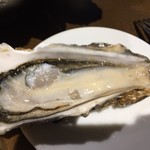 シーフードスタンド パチョレック ハナタレ - 生牡蠣