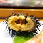 小判寿司 - 殻付雲丹