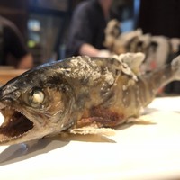 柳家 - 