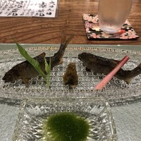 日本料理 とくを - 