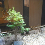 ラブバード カフェ チェリー - 坪庭