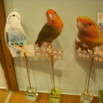 ラブバード カフェ チェリー - 