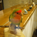ラブバード カフェ チェリー - 