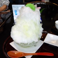KATO'S DINING & BAR - 
