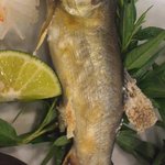 量平寿司 - 天然鮎塩焼アップ