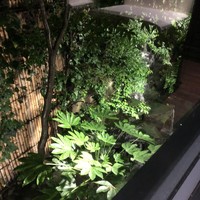 赤坂 津つ井 総本店 - 