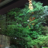 和食 清水 - ベストショットでこの夜景
