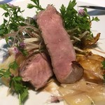 レフェルヴェソンス - 