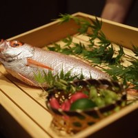 のどぐろ専門 銀座中俣 はなれ - コースの前にのどぐろを見せてくれます