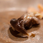 うを徳 - 能州（のと）鳥貝（とりがひ）