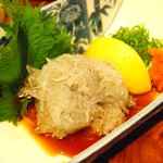 居酒屋大吉 - ドロメ