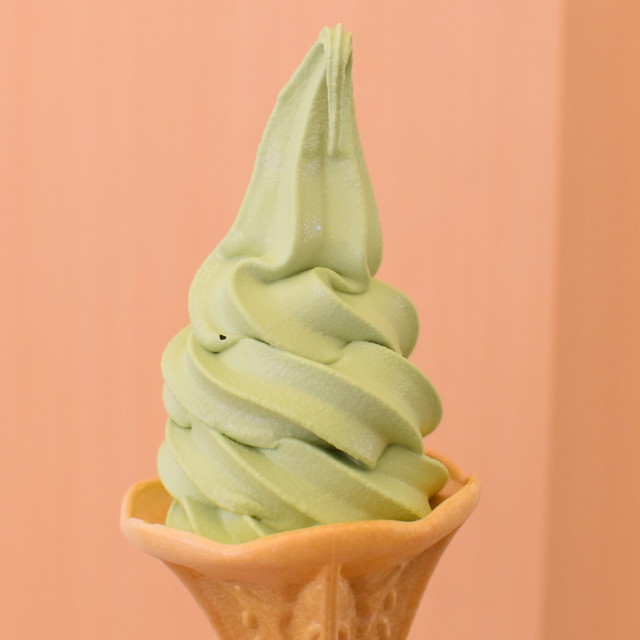 No.68 癒しのグリーン系✨キャッシュトレイ♡固まるハーバリウム No.68 癒しのグリーン系✨キャッシュトレイ♡固まるハーバリウム