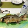 季節料理 たにぐち