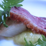 ビオディナミコ - 鴨のロースト　ポロネギのピューレＵＰ１