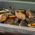 うを徳 - 2018.6 気仙沼渡り蟹 魔王蟹（魔王で漬けた酔っ払い蟹）