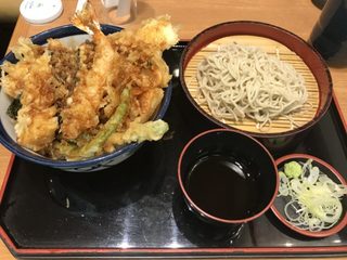 Tendon Tenya - 