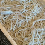 Tenryuu Soba Shoufuuan - 