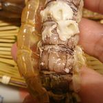 島津寿し - 単品追加 シャコ海老 (北海道産 眞子持ち) ボイル 880円 2018年06月
